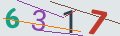 verifycode
